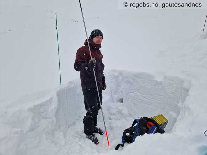 Image Of Snow Profile