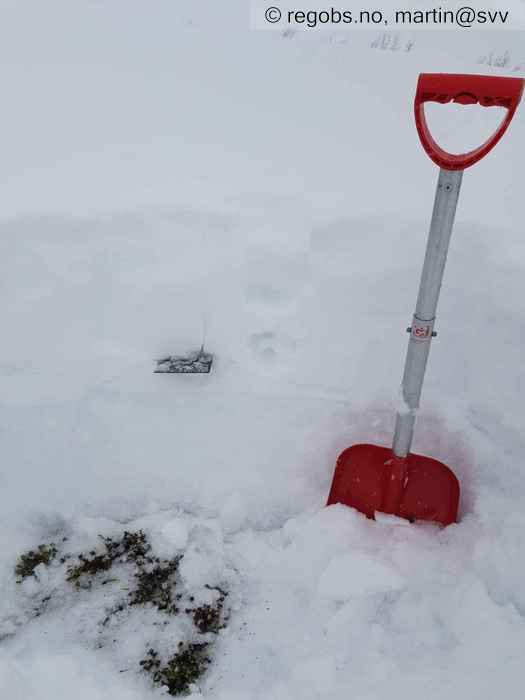 Image Of Snow Profile