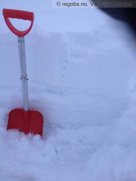 Image Of Snow Profile