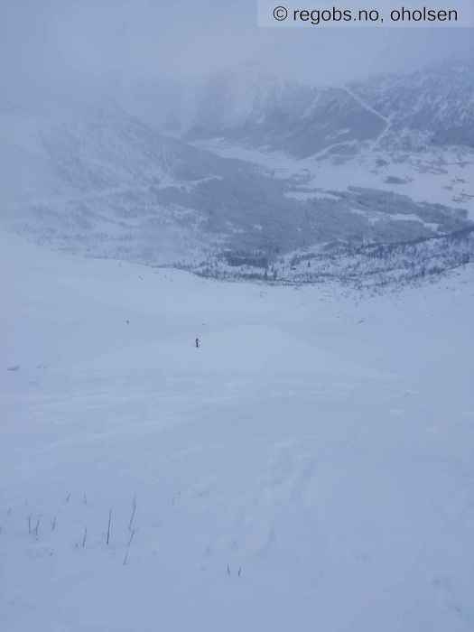 Image Of Avalanche Observation