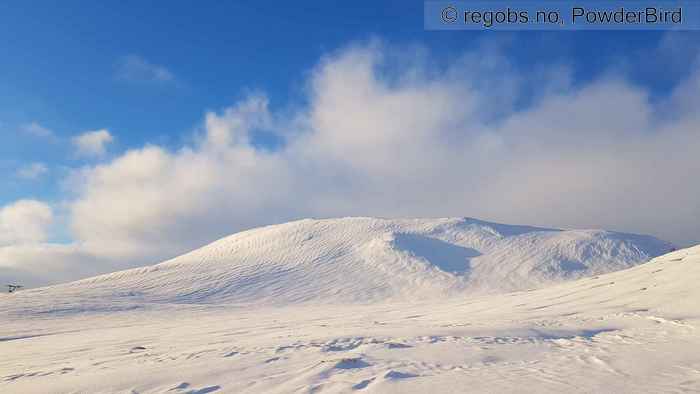 Bilde Av Snødekke