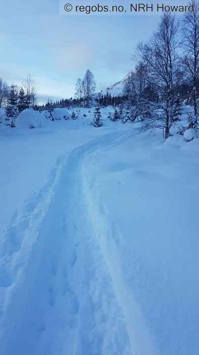 Image Of Snow Cover