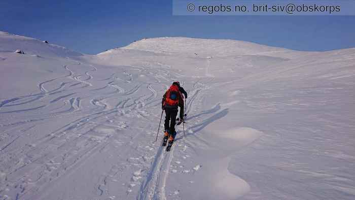 Bilde Av Snødekke