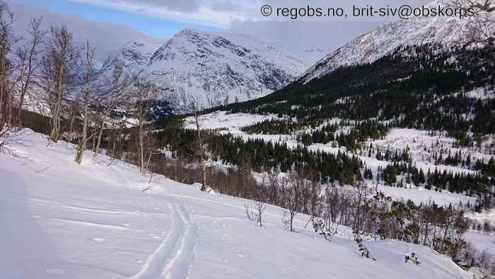 Bilde Av Snødekke