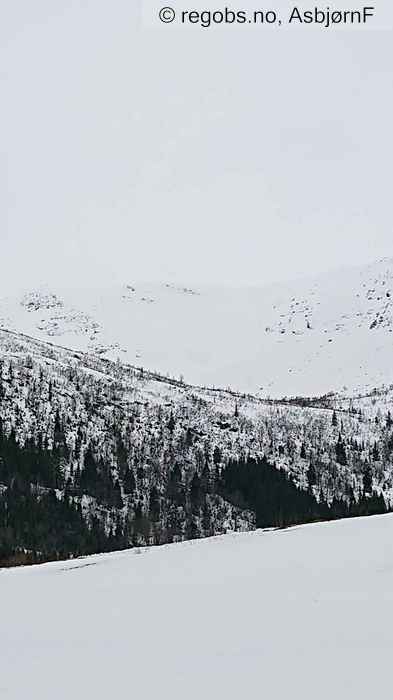 Image Of Avalanche Activity