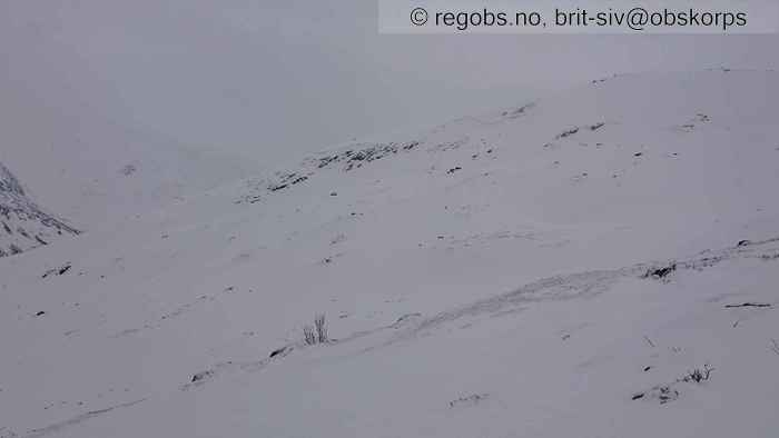 Image Of Avalanche Activity