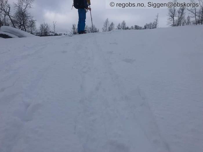 Image Of Snow Cover