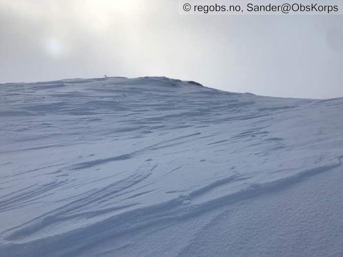 Bilde Av Snødekke