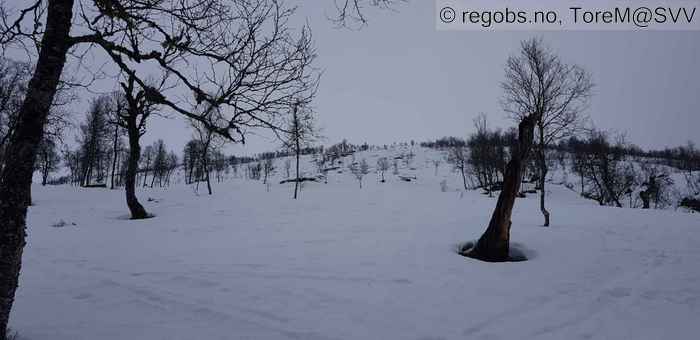 Bilde Av Snødekke