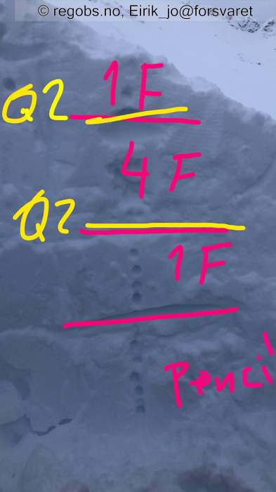 Image Of Snow Profile