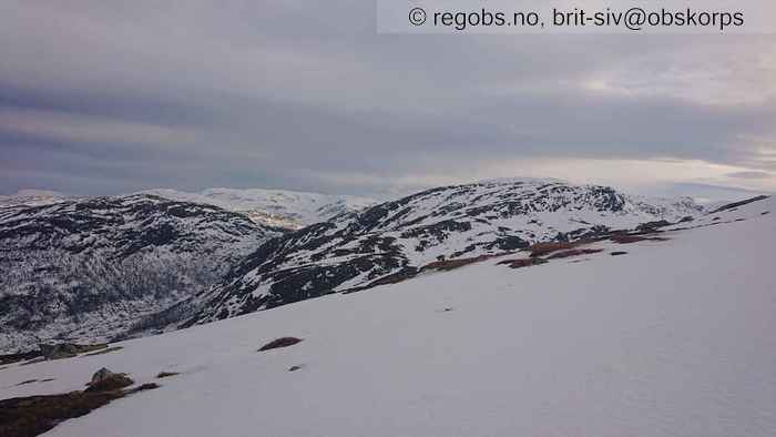 Image Of Snow Cover