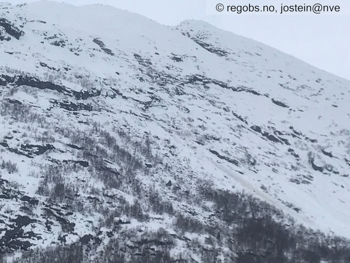 Image Of Avalanche Activity