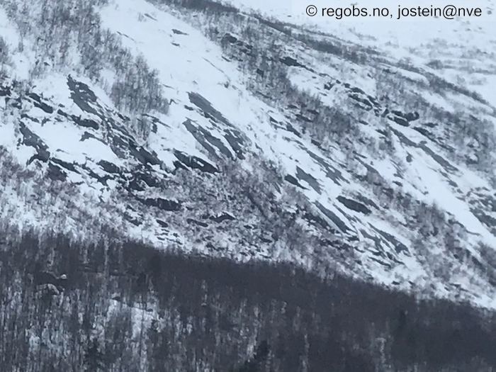 Image Of Avalanche Activity