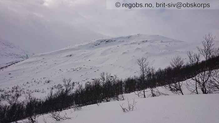 Image Of Avalanche Activity