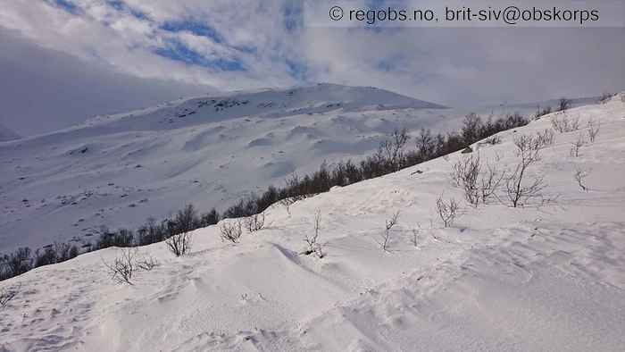 Image Of Snow Cover