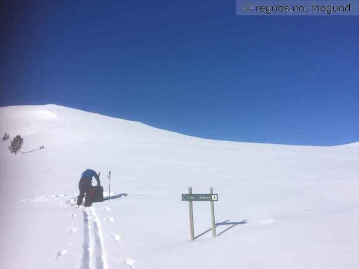 Image Of Avalanche Danger Assessment