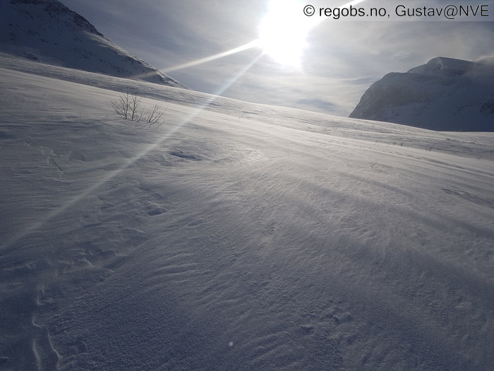 Bilde Av Snødekke