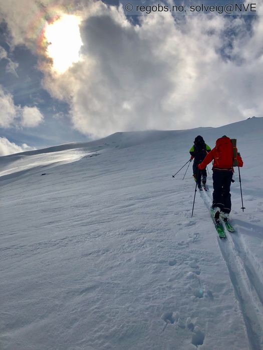 Bilde Av Snødekke