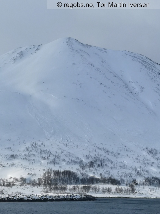 Image Of Avalanche Activity