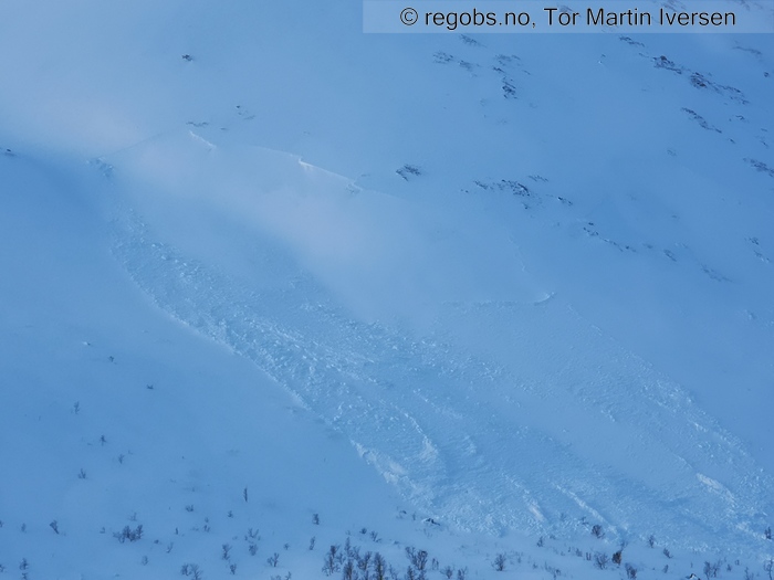 Image Of Avalanche Activity