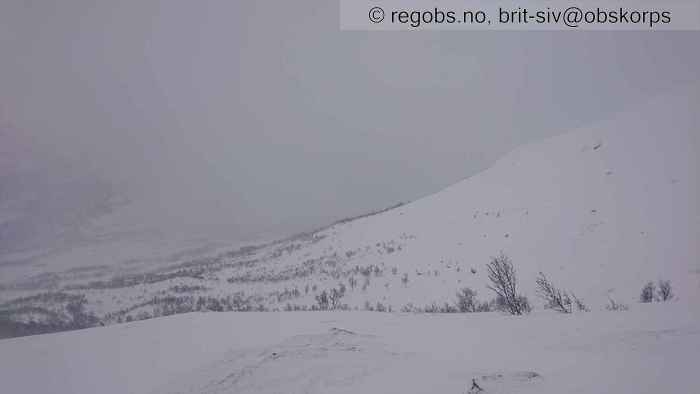 Image Of Snow Cover