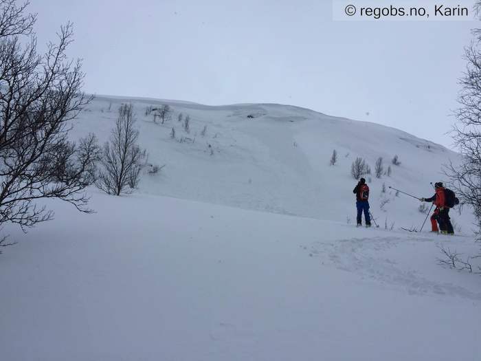 Image Of Avalanche Observation