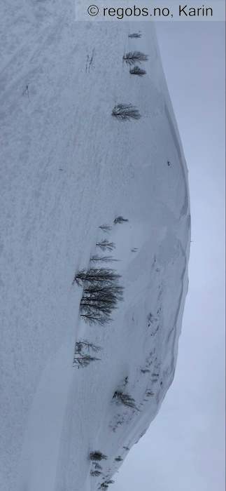 Image Of Avalanche Observation