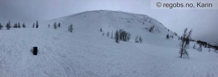 Image Of Avalanche Observation