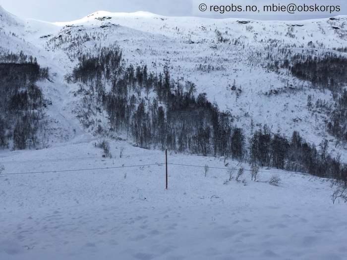 Image Of Avalanche Activity