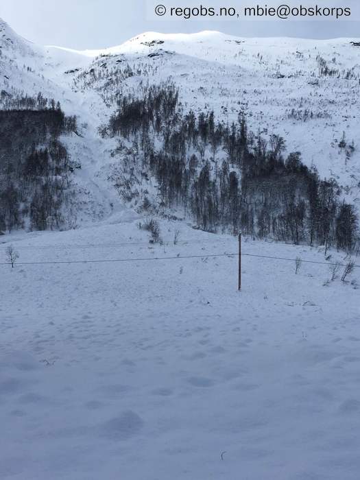 Image Of Avalanche Activity