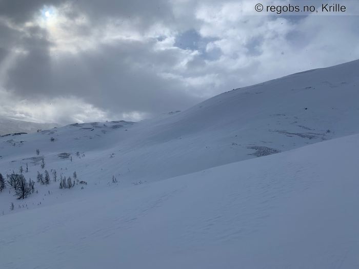 Bilde Av Snødekke