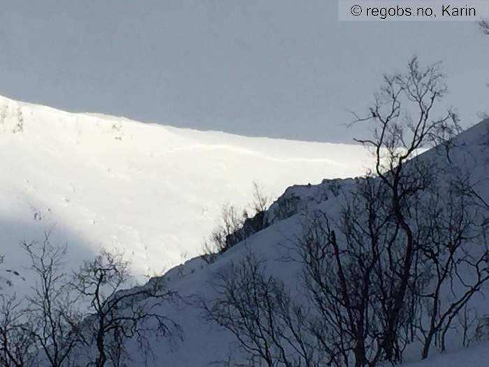 Image Of Avalanche Activity