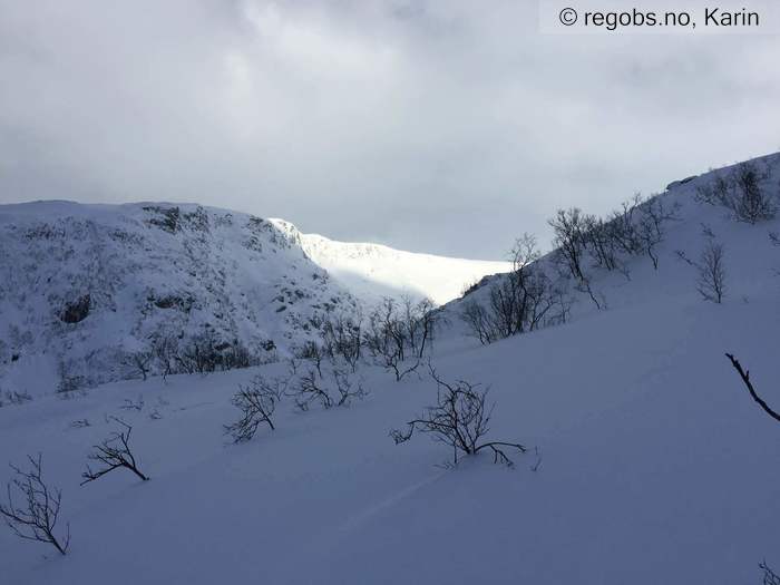 Image Of Avalanche Activity