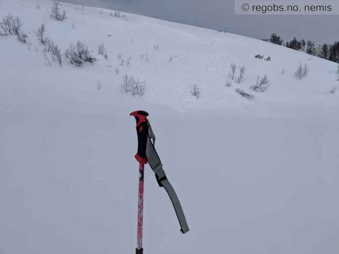 Image Of Avalanche Observation