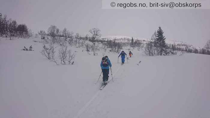 Bilde Av Snødekke