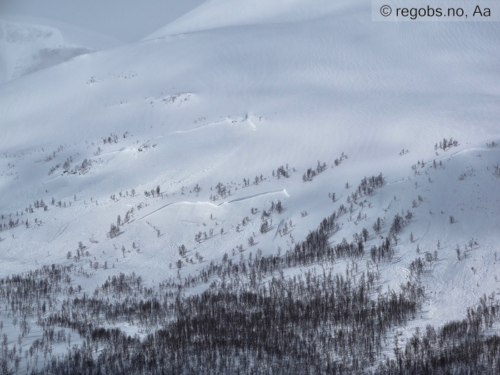 Image Of Avalanche Activity