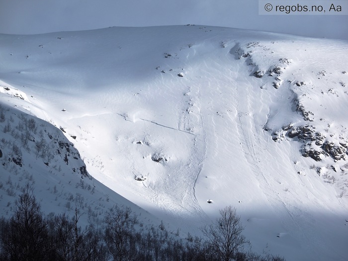 Image Of Avalanche Activity