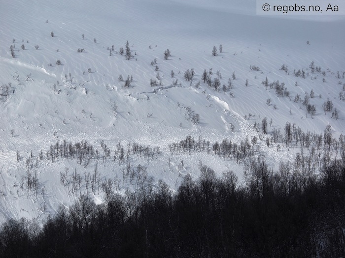 Image Of Avalanche Activity