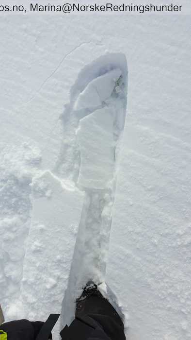 Image Of Snow Cover