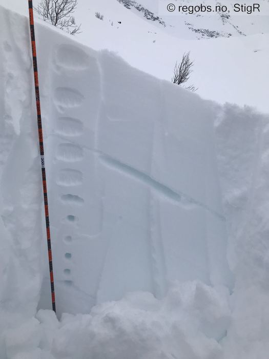 Image Of Snow Profile