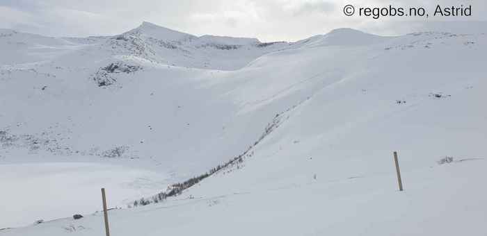 Image Of Avalanche Observation