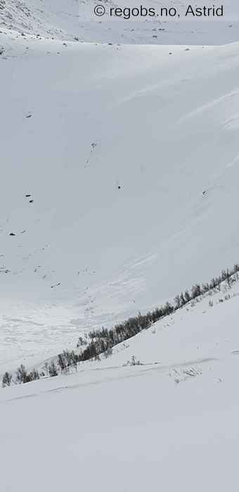 Image Of Avalanche Observation