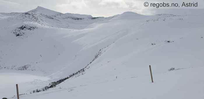 Image Of Avalanche Observation