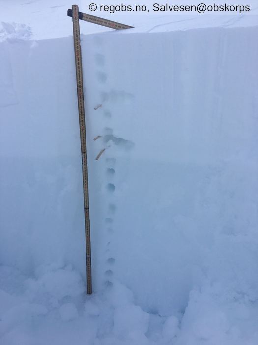 Image Of Snow Profile