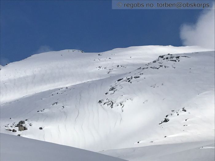 Image Of Snow Cover