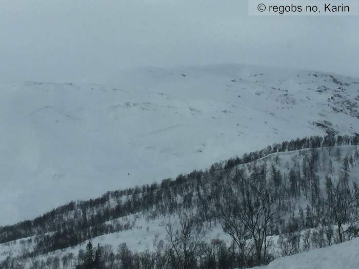 Image Of Avalanche Activity