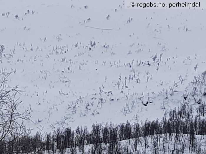 Image Of Avalanche Activity