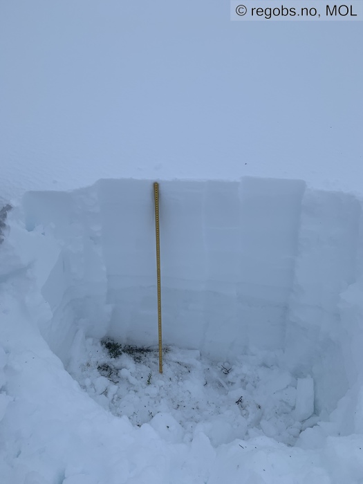 Image Of Snow Profile