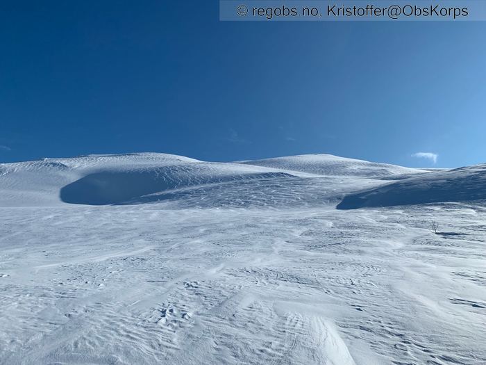 Bilde Av Snødekke