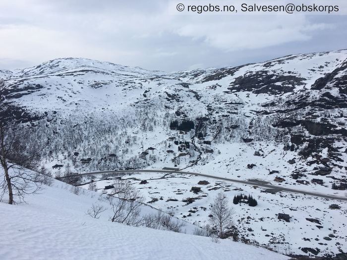 Bilde Av Snødekke